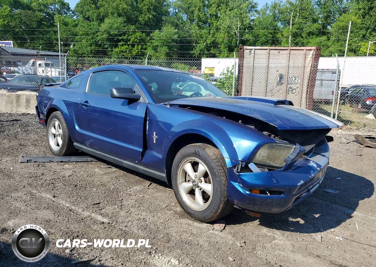2008 Ford Mustang VIN:1ZVHT80N685101138 - 4