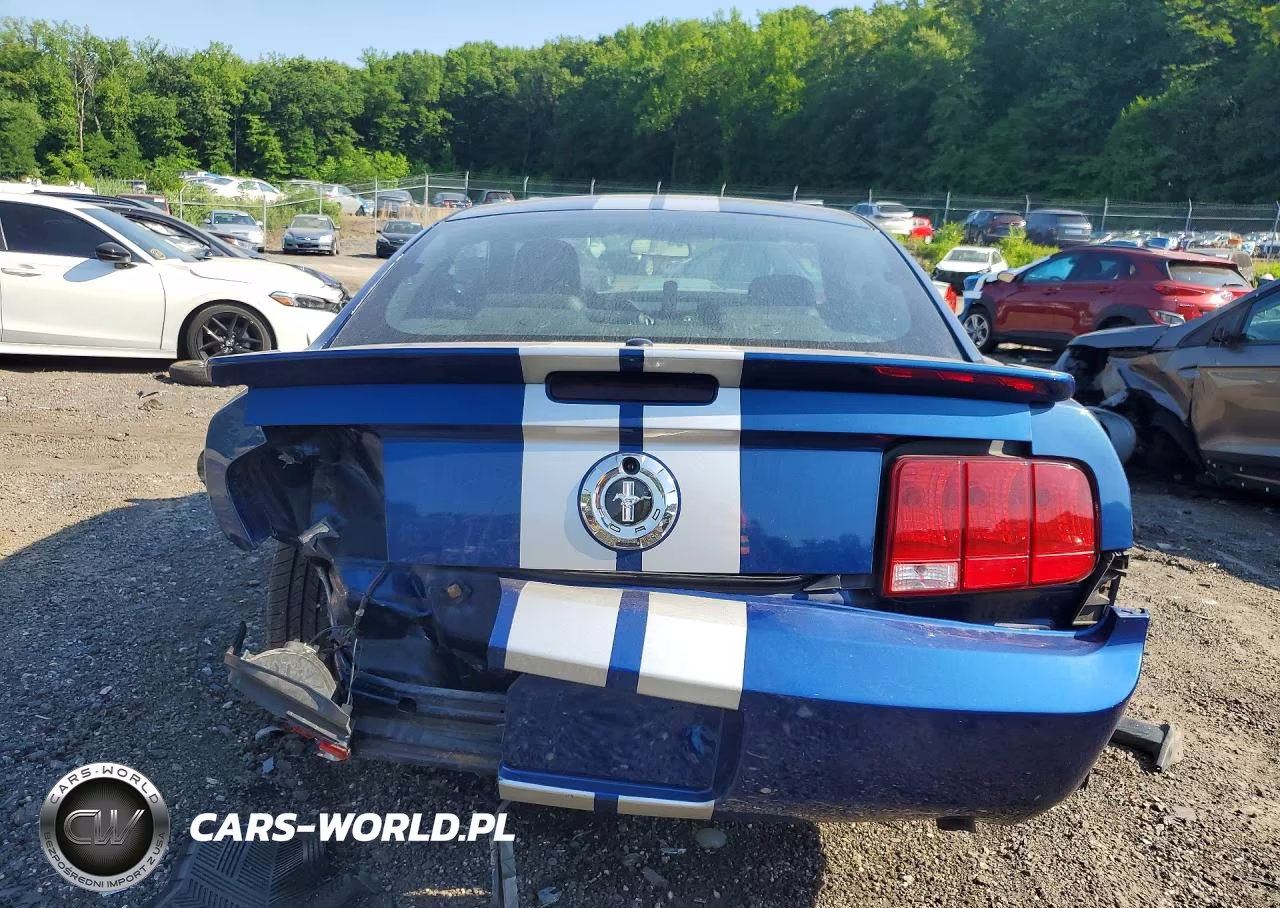 2008 Ford Mustang VIN:1ZVHT80N685101138 - 6