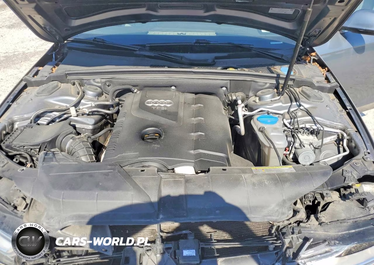 2013 Audi A4 Premium Plus VIN:WAUFFAFL6DN010120 - 11