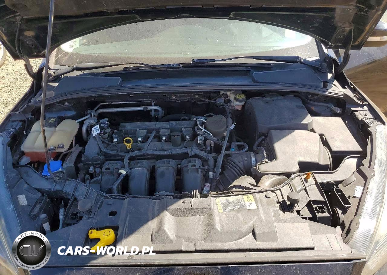 2016 Ford Focus Se VIN:1FADP3K24GL296393 - 11