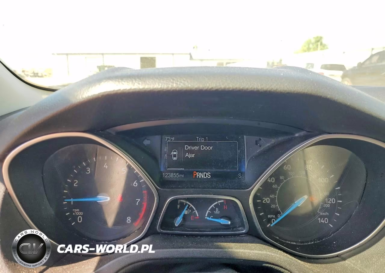 2016 Ford Focus Se VIN:1FADP3K24GL296393 - 9