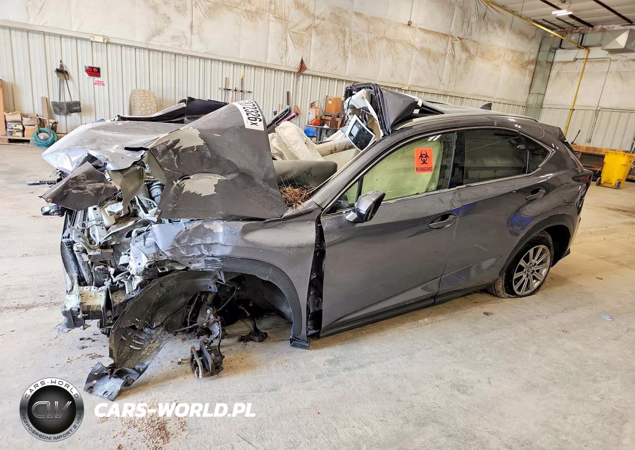 2019 Lexus Nx 300 Base