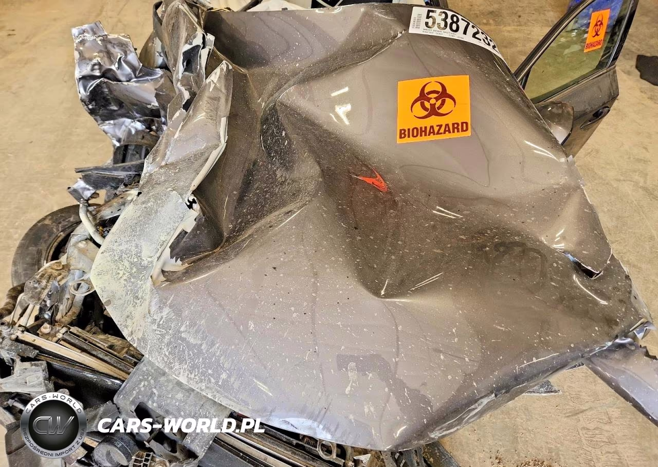 2019 Lexus Nx 300 Base VIN:JTJBARBZ6K2199372 - 12