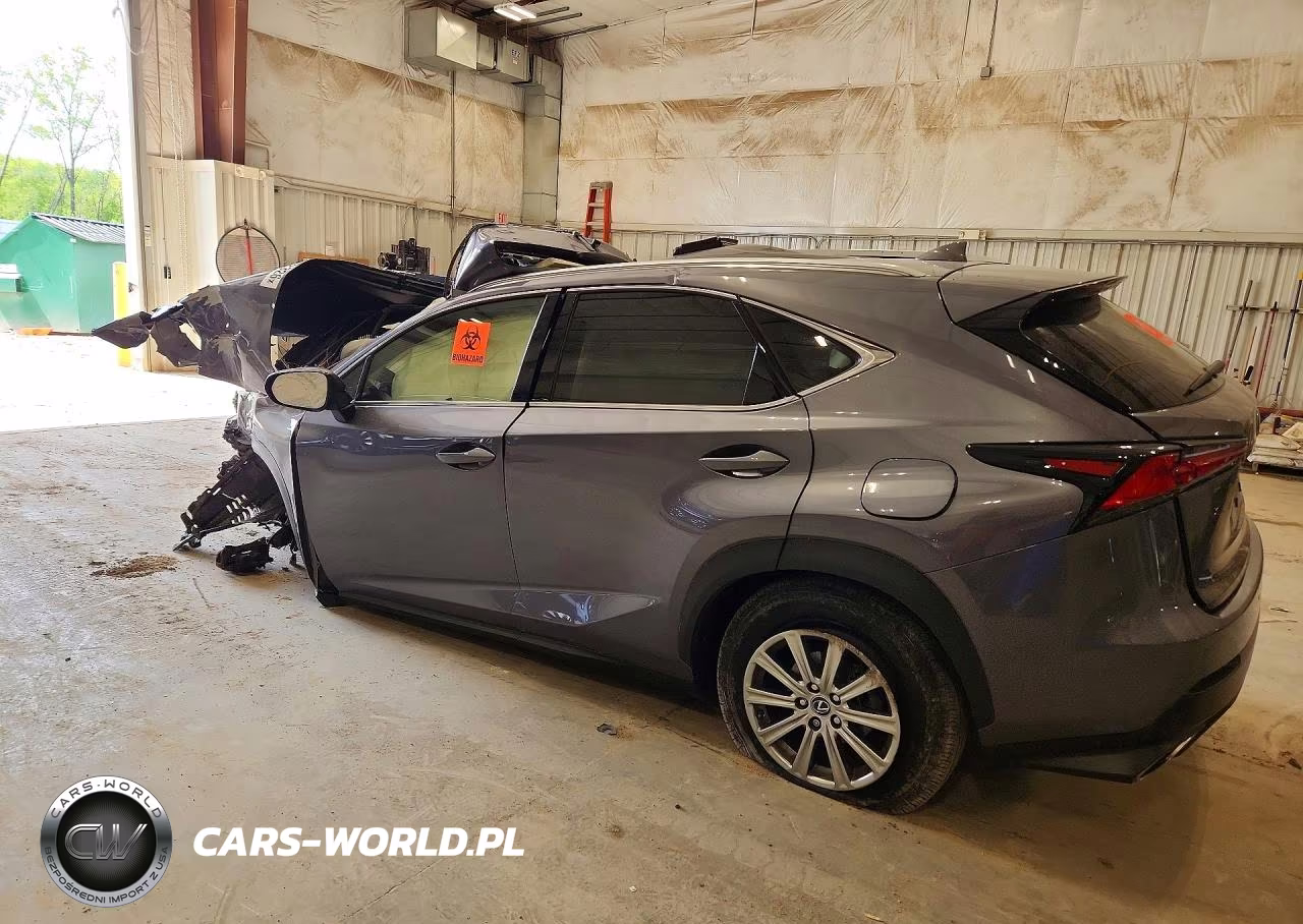 2019 Lexus Nx 300 Base VIN:JTJBARBZ6K2199372 - 2