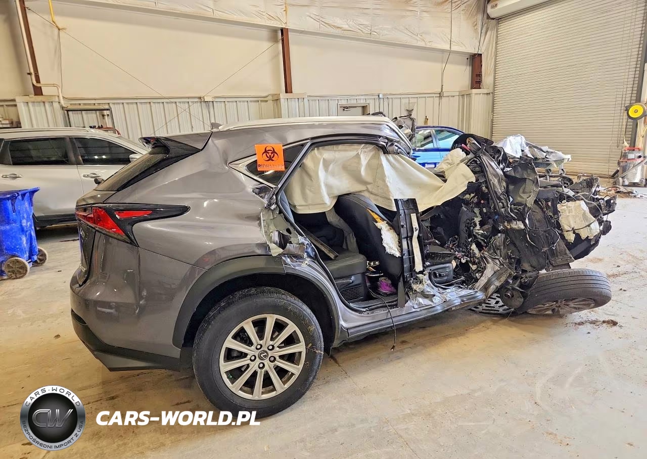 2019 Lexus Nx 300 Base VIN:JTJBARBZ6K2199372 - 3