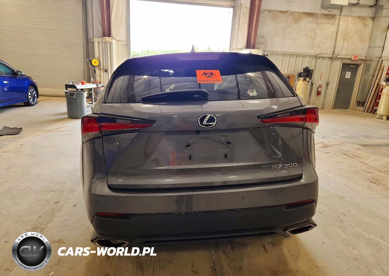2019 Lexus Nx 300 Base VIN:JTJBARBZ6K2199372 - 6