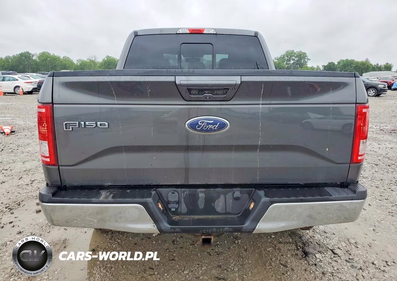2016 Ford F150 Supercrew VIN:1FTEW1EP2GFC56972 - 6