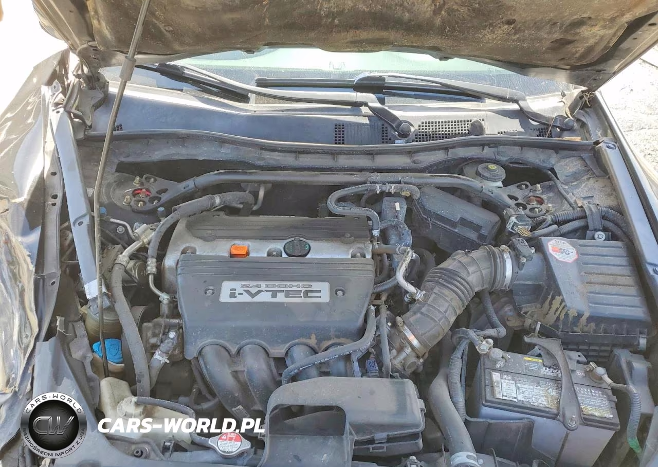 2009 Honda Accord Lx VIN:1HGCS12329A019128 - 11