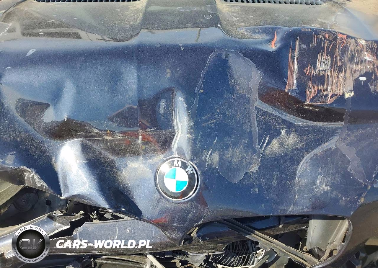 2004 BMW X5 3.0I VIN:5UXFA135X4LU30402 - 12