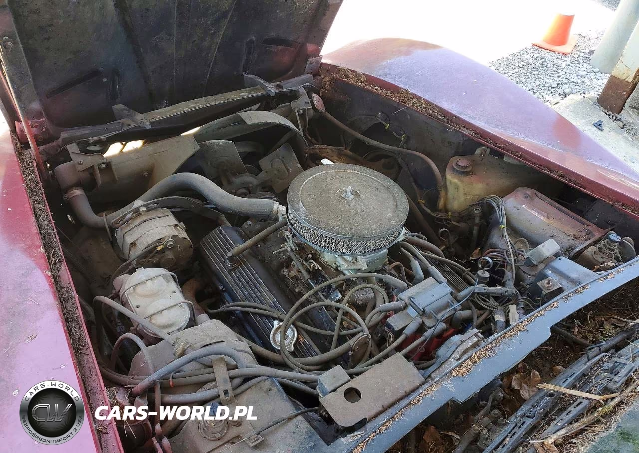 1981 Chevrolet Corvette VIN:1G1AY8766BS429715 - 11