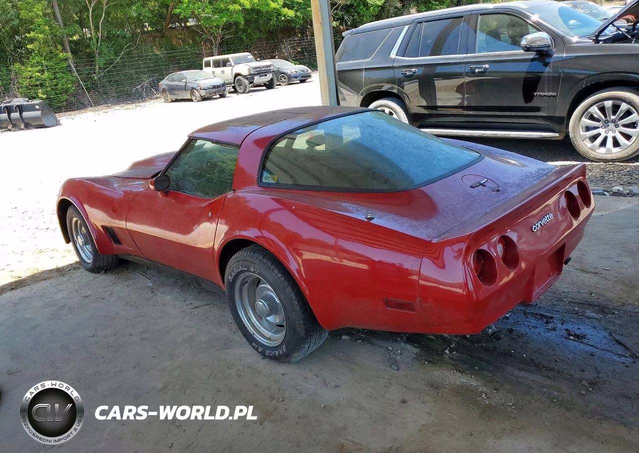 1981 Chevrolet Corvette VIN:1G1AY8766BS429715 - 2
