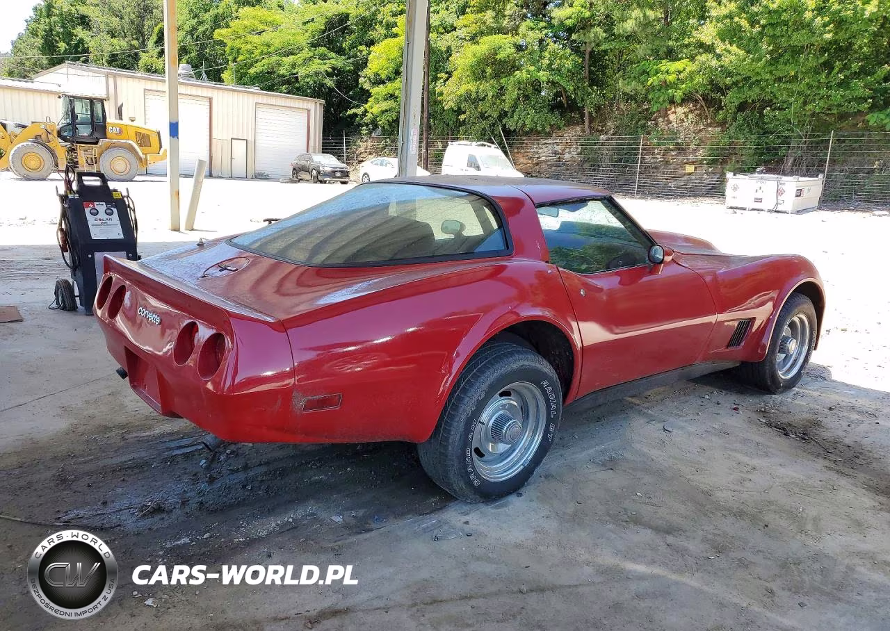 1981 Chevrolet Corvette VIN:1G1AY8766BS429715 - 3
