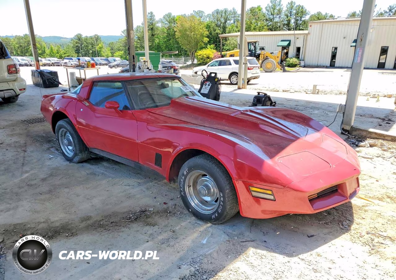 1981 Chevrolet Corvette VIN:1G1AY8766BS429715 - 4