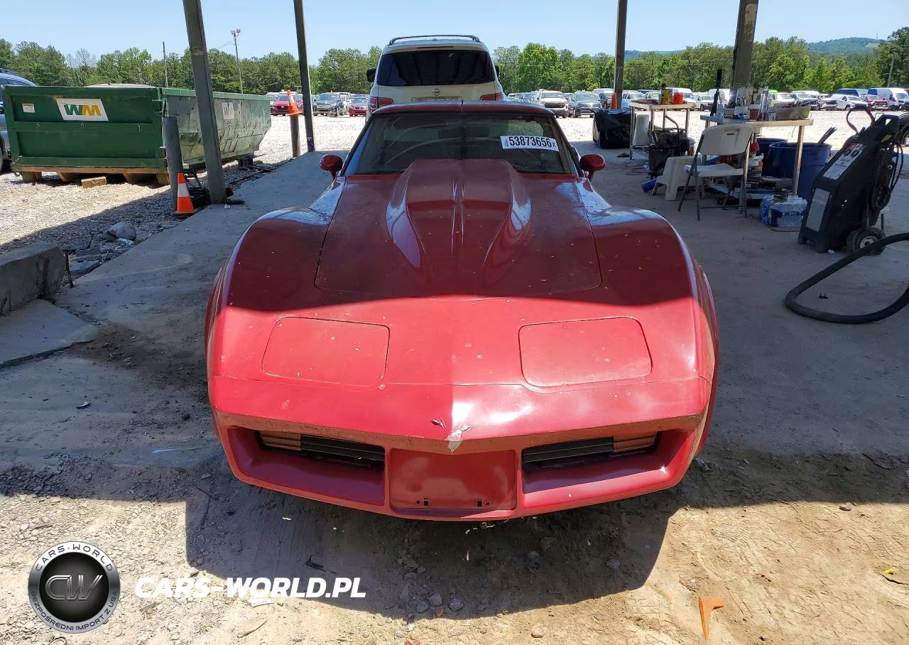 1981 Chevrolet Corvette VIN:1G1AY8766BS429715 - 5