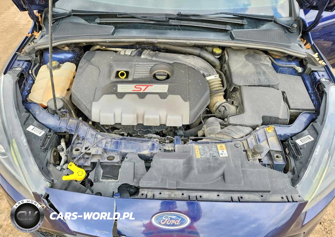 2017 Ford Focus St VIN:1FADP3L9XHL222232 - 11