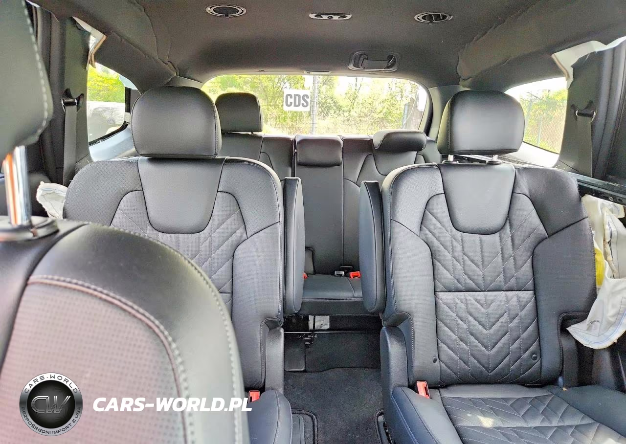2025 Kia Telluride Ex X-Line VIN:5XYP3DGC2SG570236 - 10