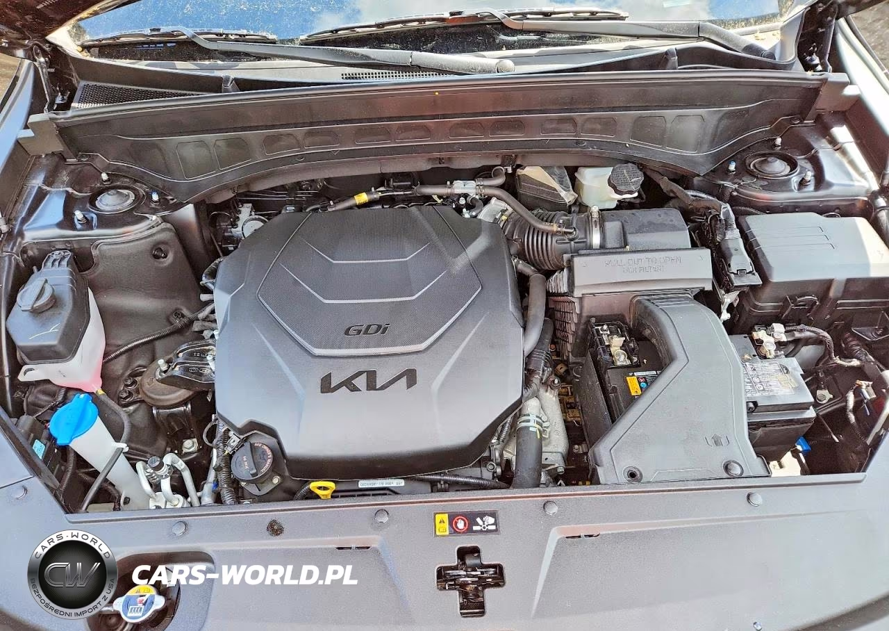 2025 Kia Telluride Ex X-Line VIN:5XYP3DGC2SG570236 - 12
