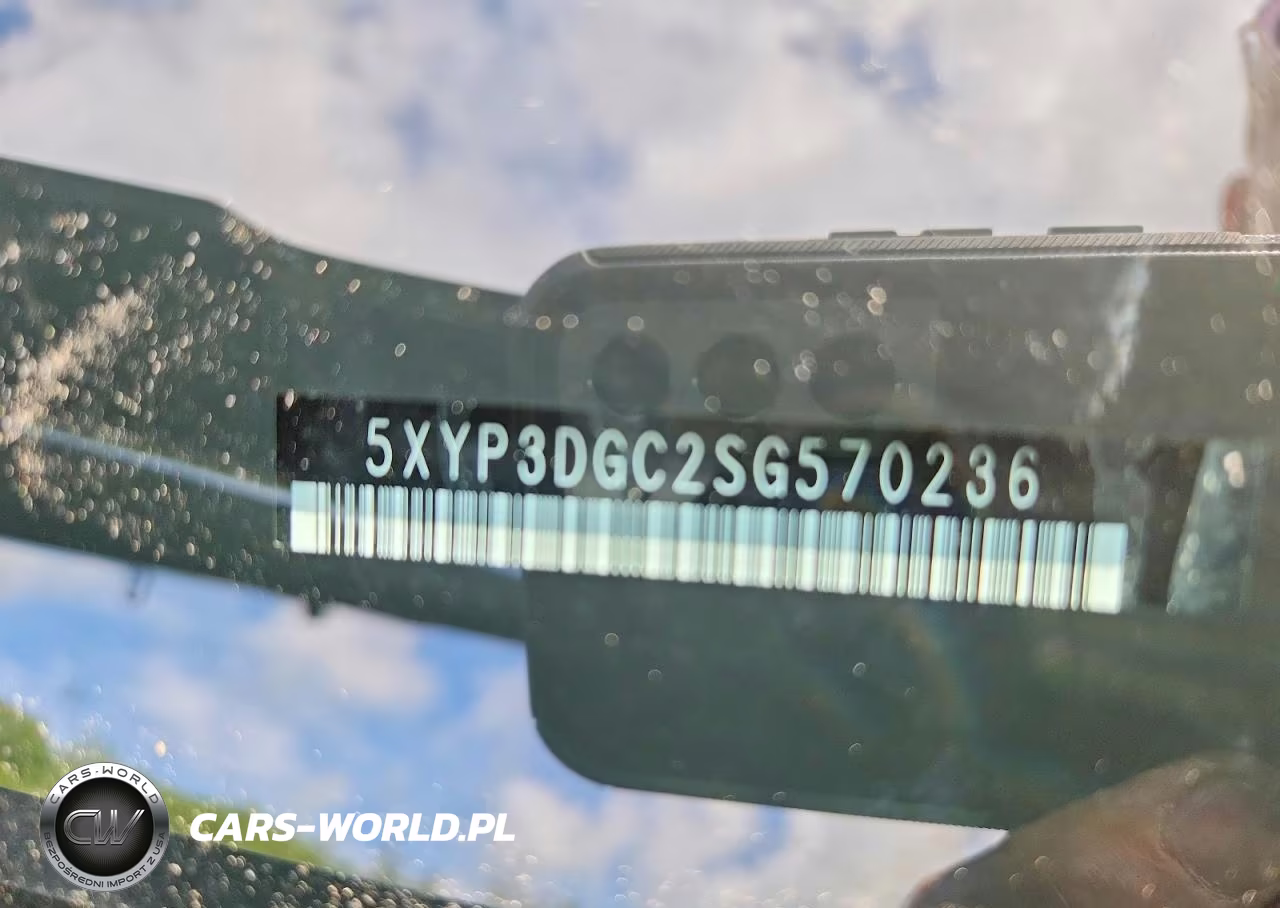 2025 Kia Telluride Ex X-Line VIN:5XYP3DGC2SG570236 - 13