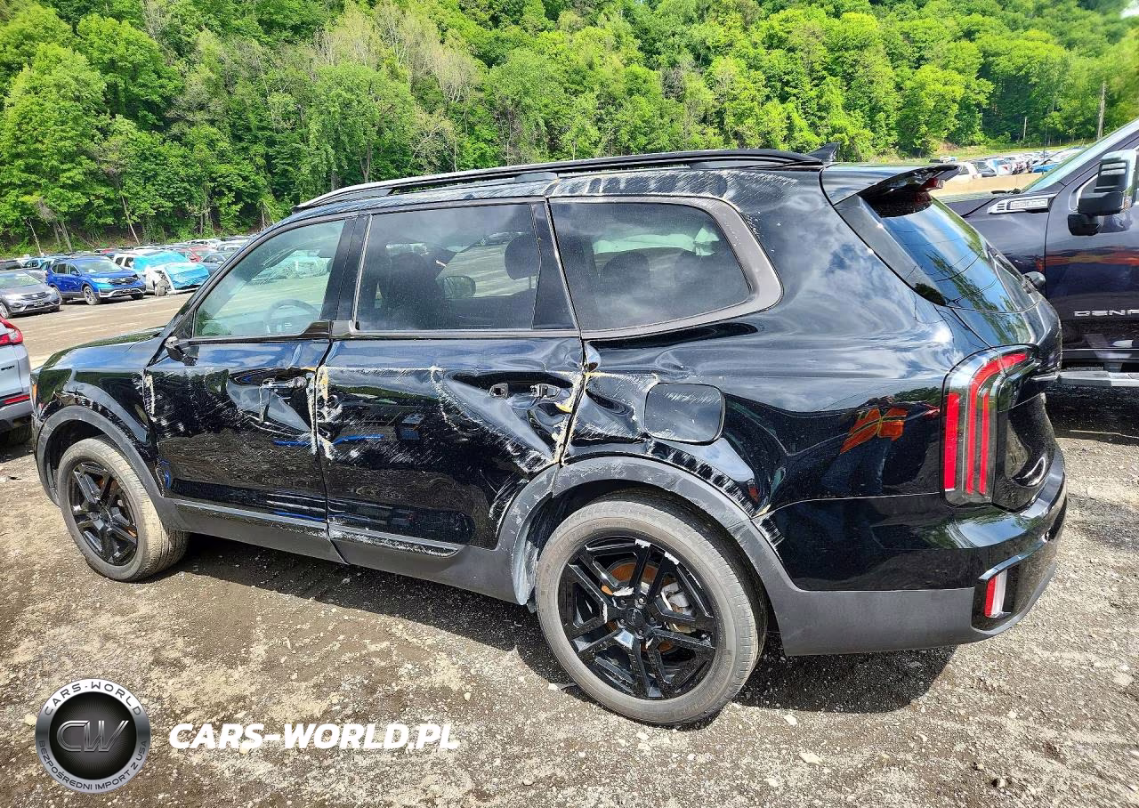 2025 Kia Telluride Ex X-Line VIN:5XYP3DGC2SG570236 - 2