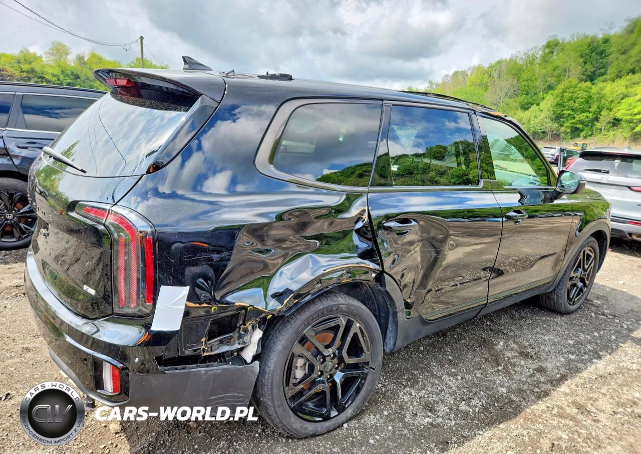 2025 Kia Telluride Ex X-Line VIN:5XYP3DGC2SG570236 - 3