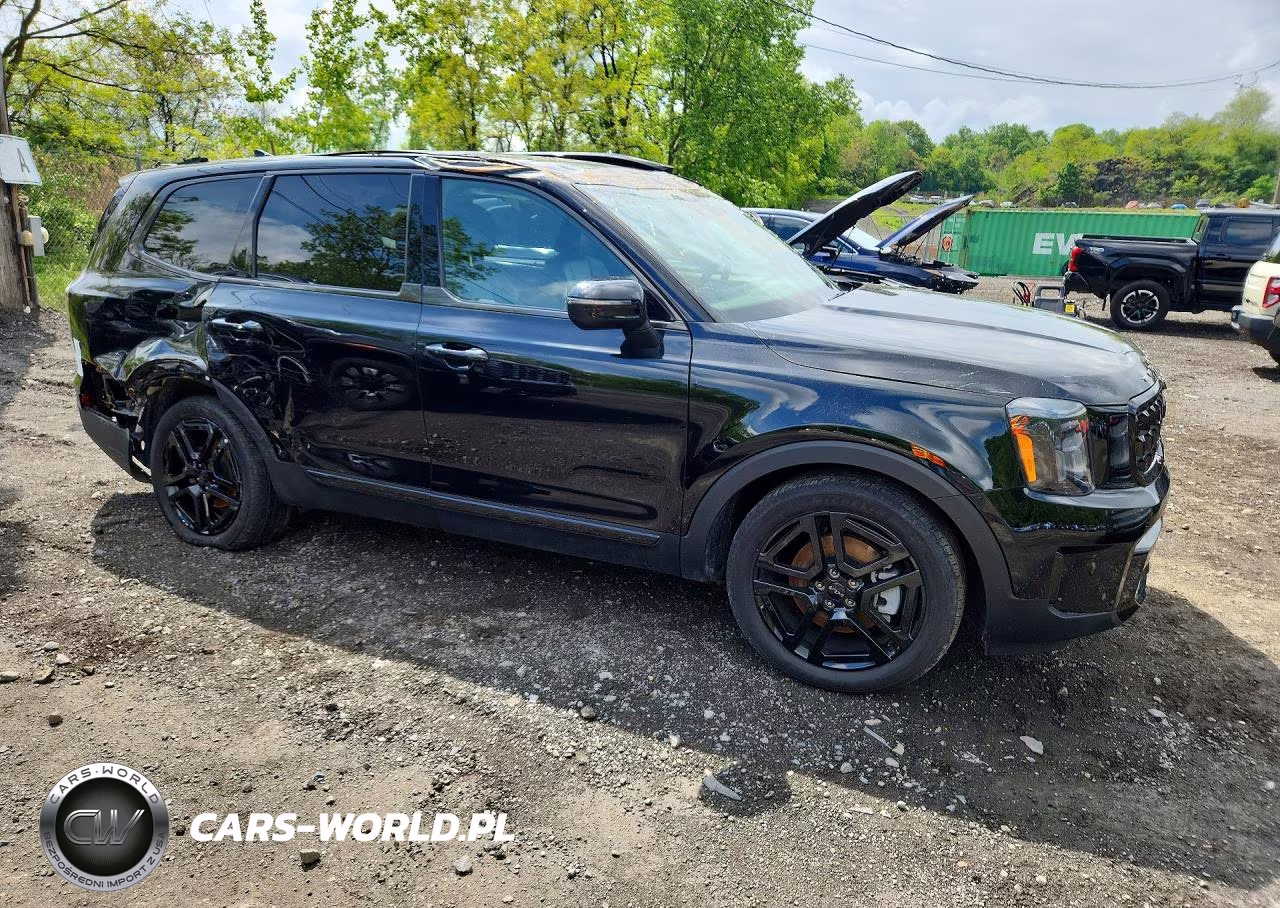2025 Kia Telluride Ex X-Line VIN:5XYP3DGC2SG570236 - 4