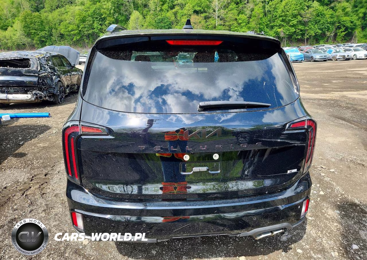 2025 Kia Telluride Ex X-Line VIN:5XYP3DGC2SG570236 - 6