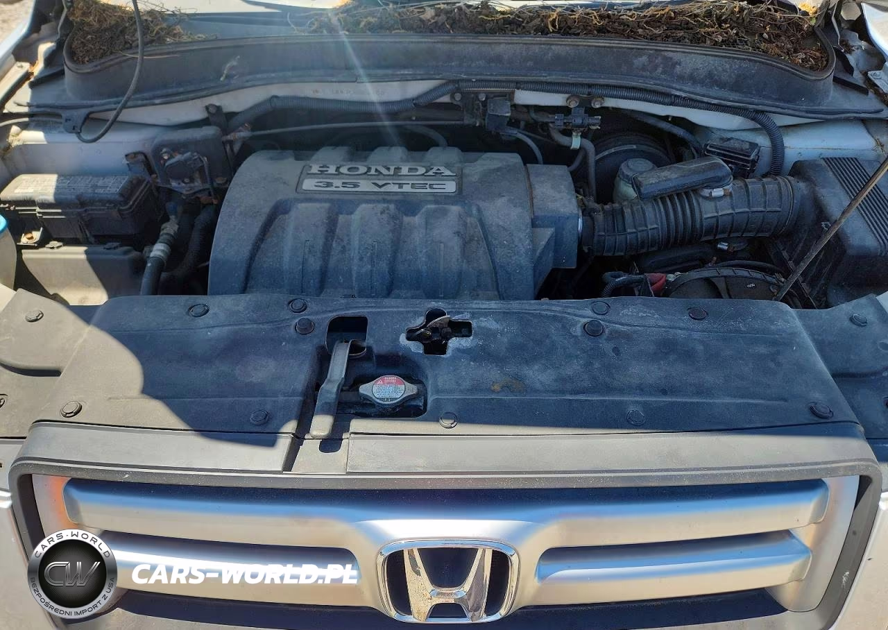 2006 Honda Pilot Ex VIN:2HKYF18476H526183 - 12