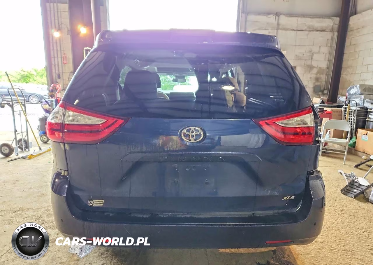 2018 Toyota Sienna Xle 8-Passenger VIN:5TDYZ3DC6JS954751 - 6