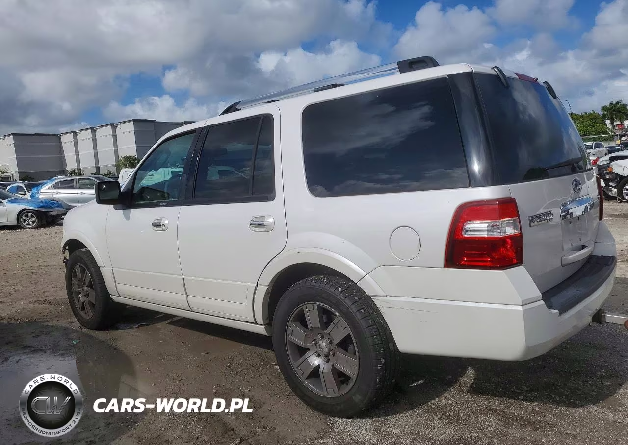 2010 Ford Expedition Limited VIN:1FMJU1K53AEA00419 - 2