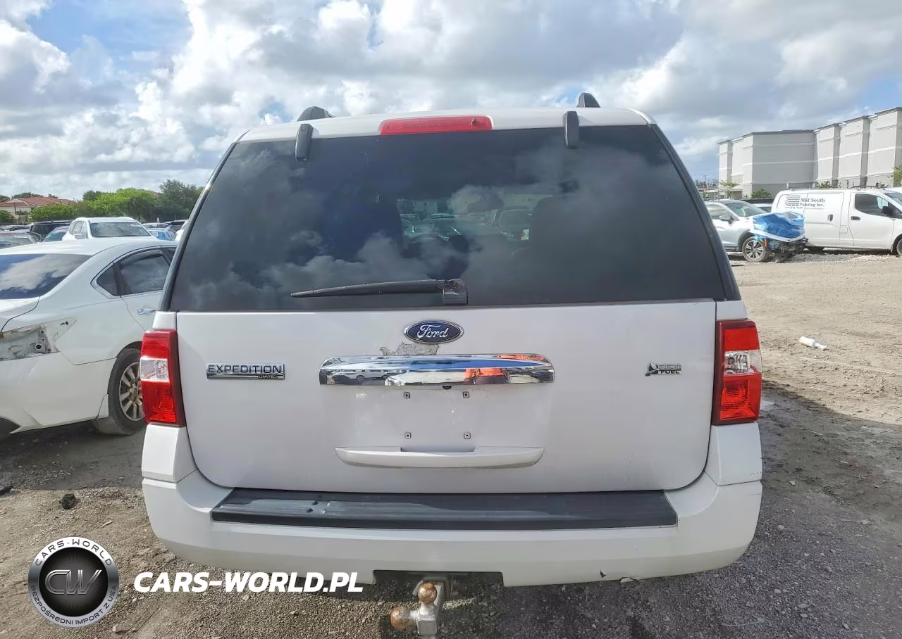 2010 Ford Expedition Limited VIN:1FMJU1K53AEA00419 - 6