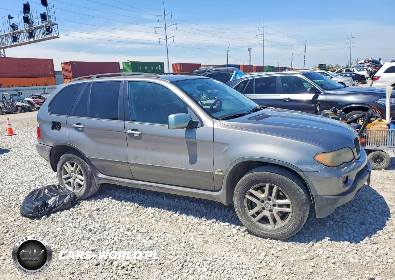 2006 BMW X5 3.0I VIN:5UXFA135X6LY37199 - 4