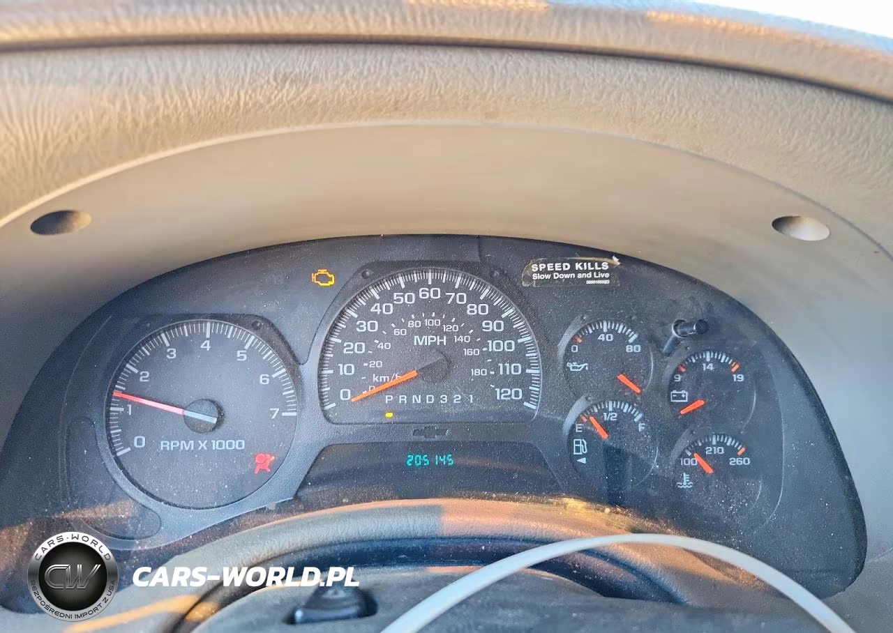 2004 Chevrolet Trailblazer Ls VIN:1GNDS13S342407861 - 9