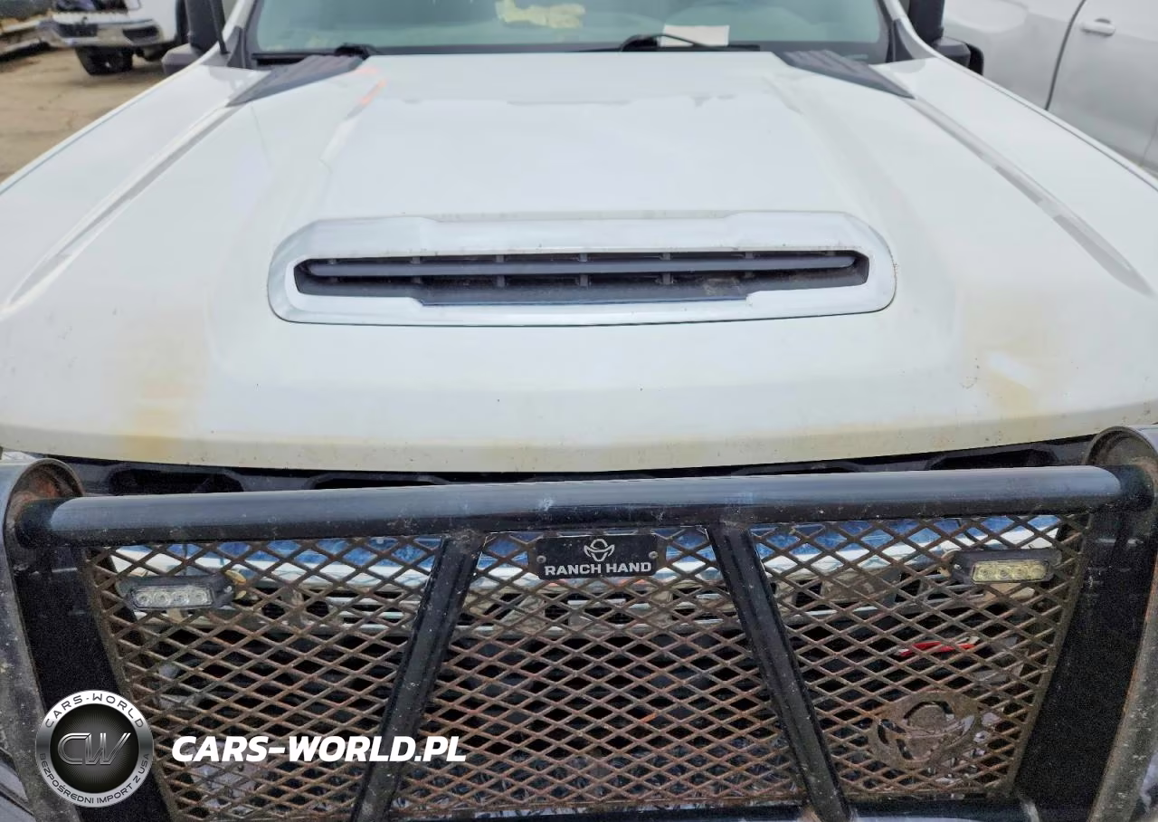 2021 Chevrolet Silverado K2500 Heavy Duty Lt VIN:1GC4YNE71MF286456 - 11