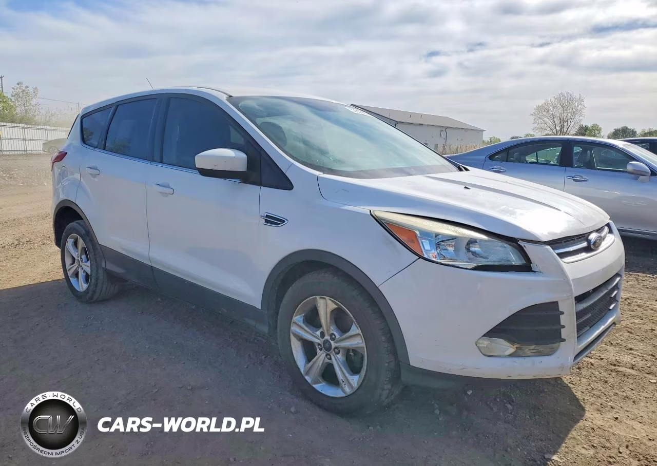 2014 Ford Escape Se VIN:1FMCU9GX9EUE40593 - 4