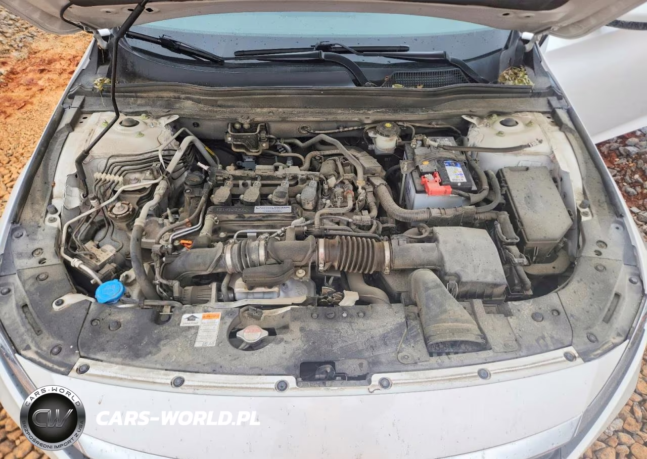 2020 Honda Accord VIN:1HGCV1F11LA104565 - 11