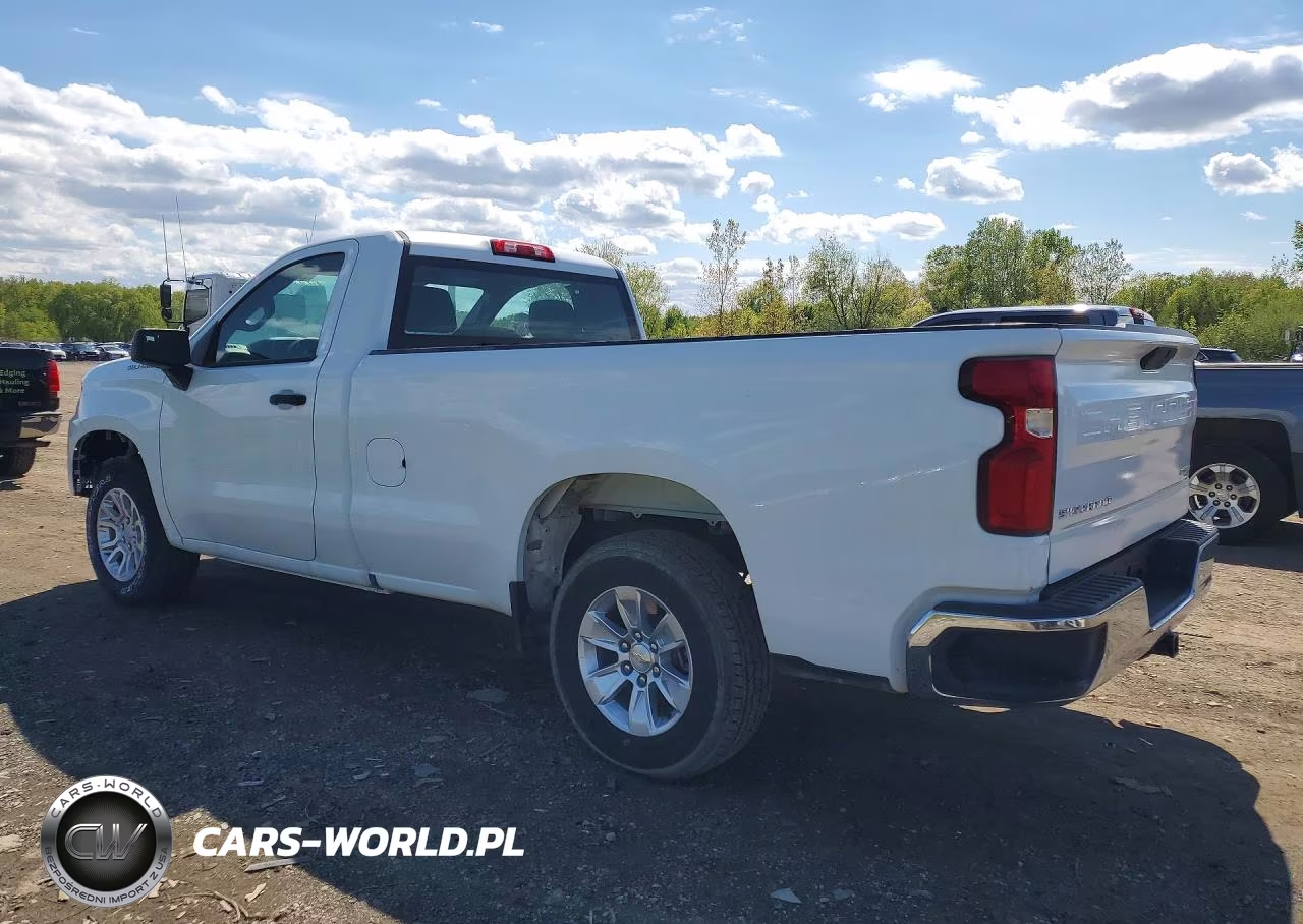 2020 Chevrolet Silverado C1500 VIN:3GCNWAEF6LG387614 - 2