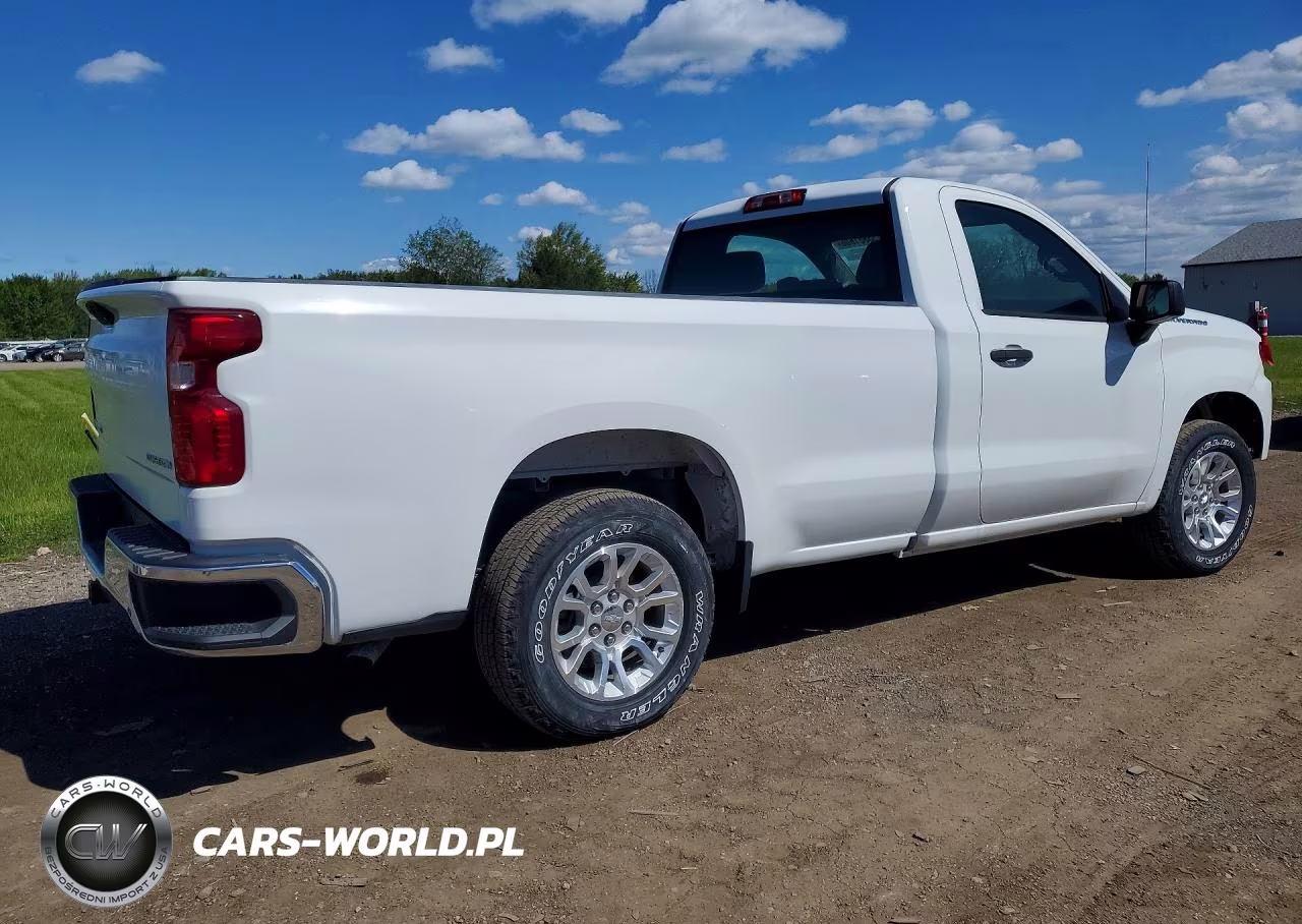 2020 Chevrolet Silverado C1500 VIN:3GCNWAEF6LG387614 - 3