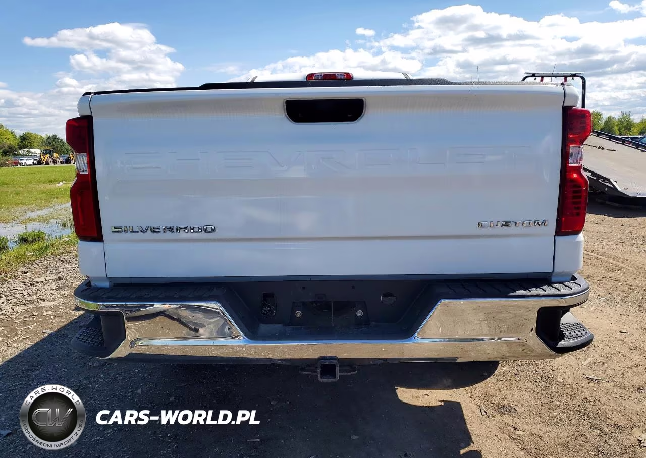 2020 Chevrolet Silverado C1500 VIN:3GCNWAEF6LG387614 - 6