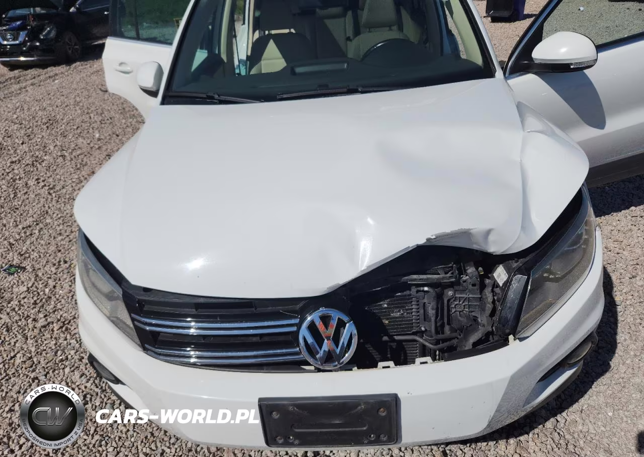 2016 Volkswagen Tiguan S VIN:WVGAV7AX7GW509189 - 12