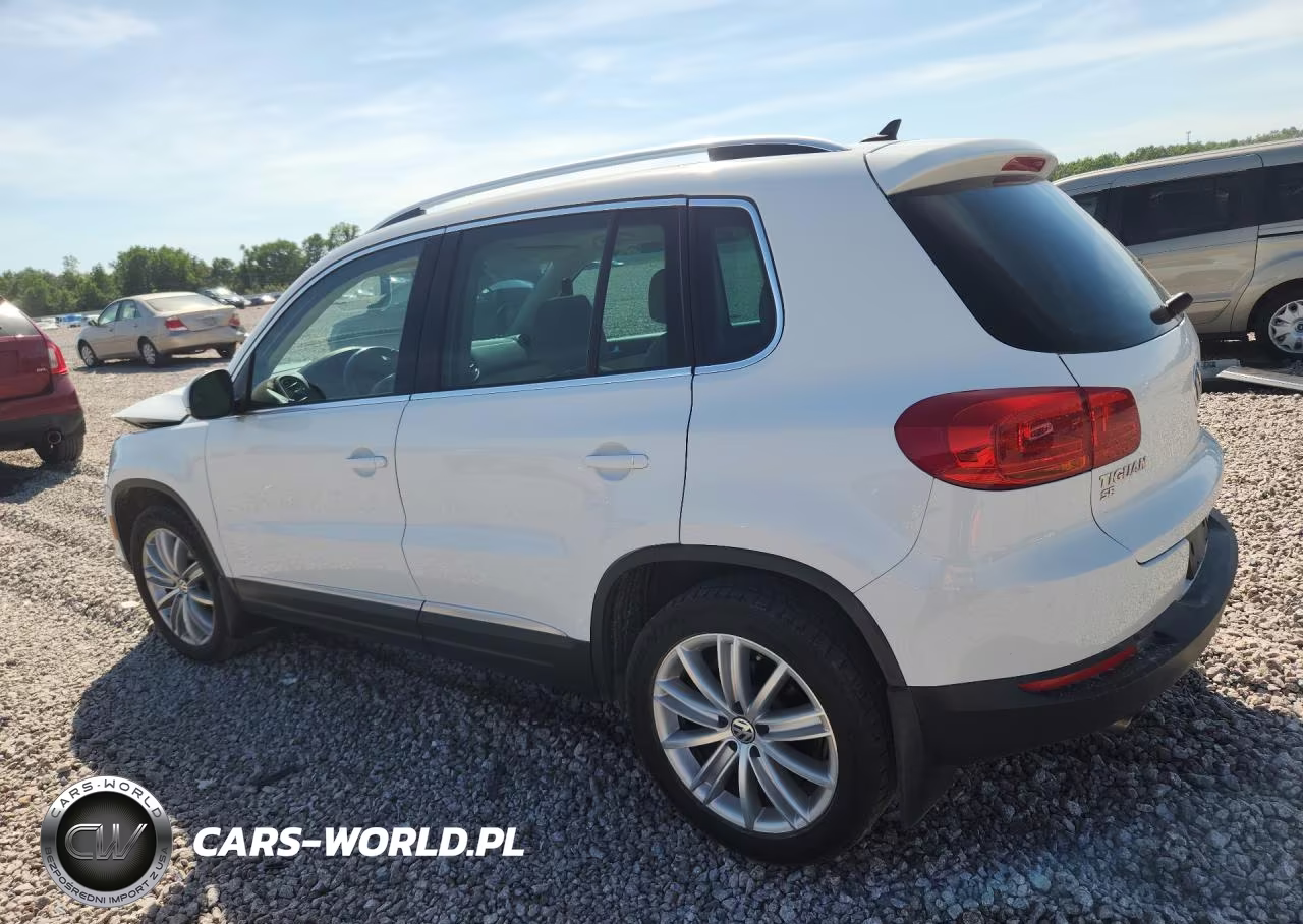 2016 Volkswagen Tiguan S VIN:WVGAV7AX7GW509189 - 2