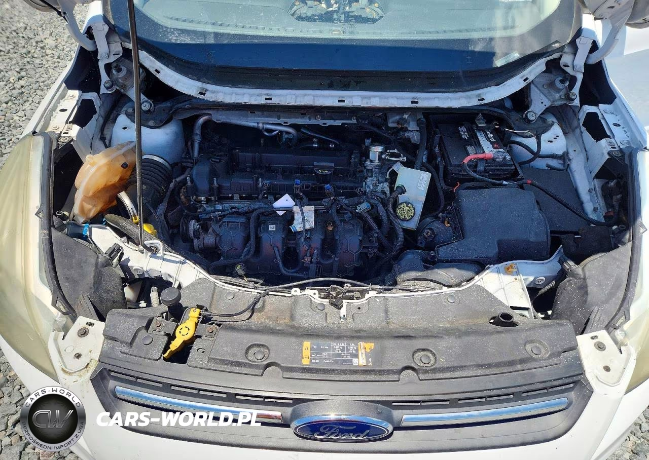 2014 Ford Escape Se VIN:1FMCU0G95EUD45428 - 11