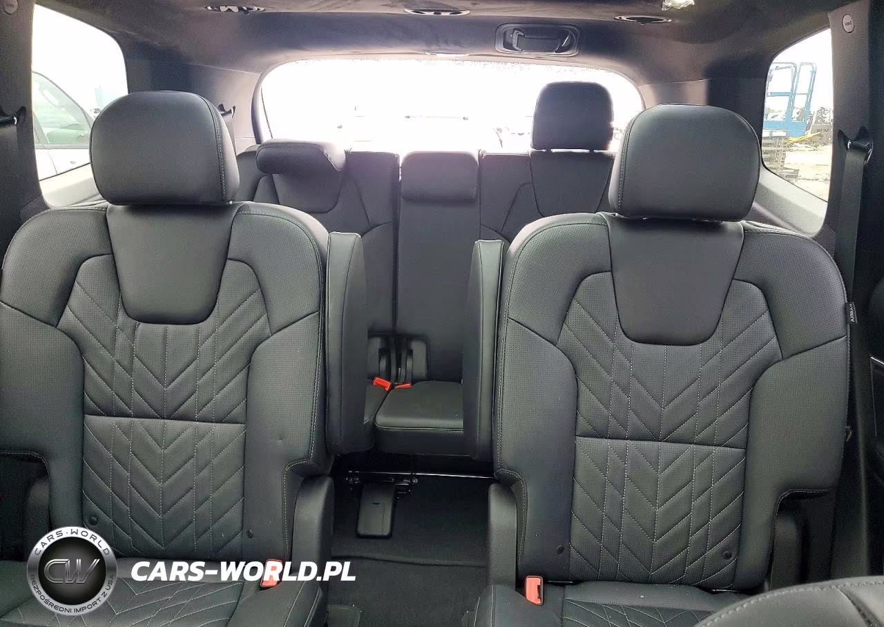2025 Kia Telluride Sx-Prestige X-Line VIN:5XYP5DGC9SG641667 - 10