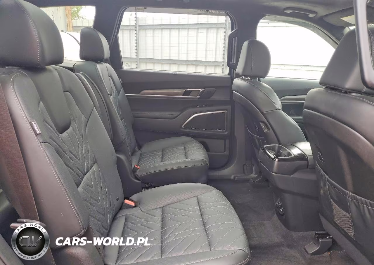 2025 Kia Telluride Sx-Prestige X-Line VIN:5XYP5DGC9SG641667 - 11