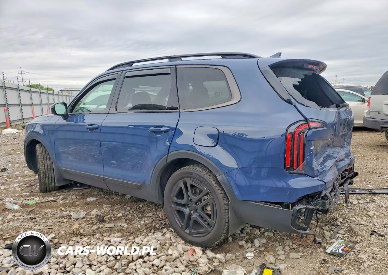 2025 Kia Telluride Sx-Prestige X-Line VIN:5XYP5DGC9SG641667 - 2