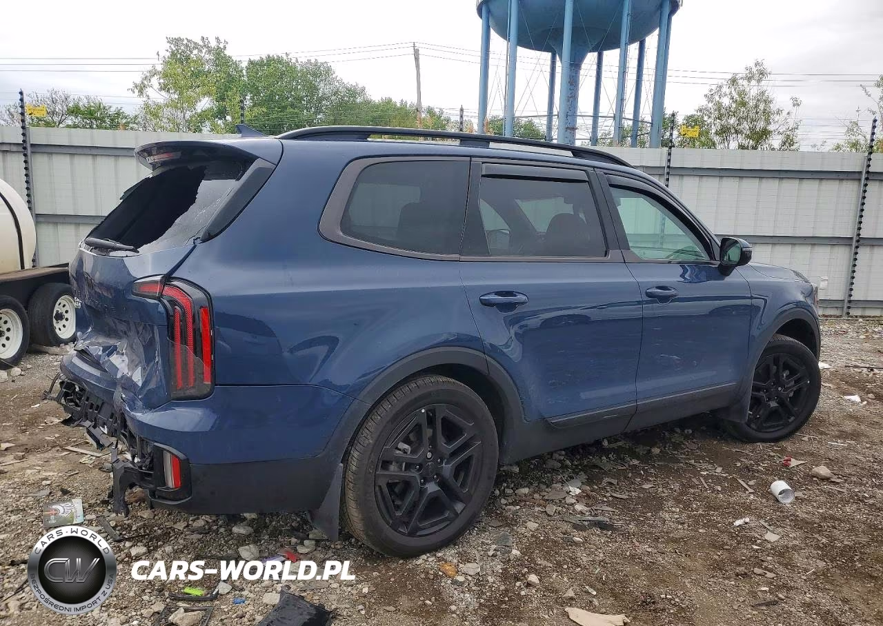 2025 Kia Telluride Sx-Prestige X-Line VIN:5XYP5DGC9SG641667 - 3