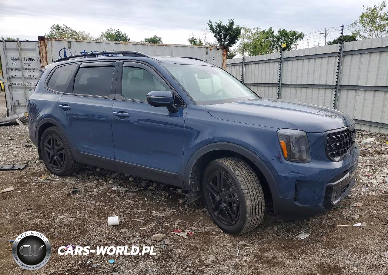 2025 Kia Telluride Sx-Prestige X-Line VIN:5XYP5DGC9SG641667 - 4