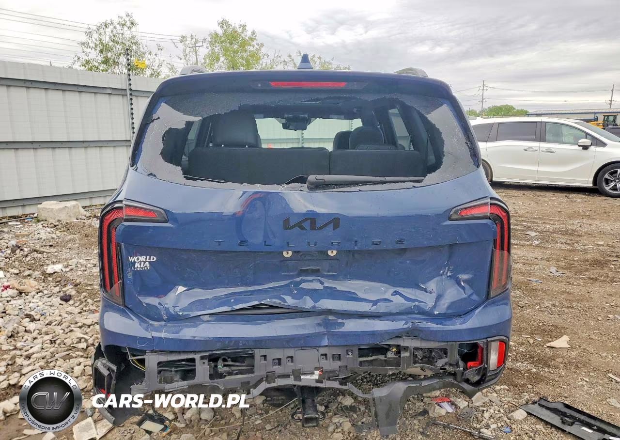 2025 Kia Telluride Sx-Prestige X-Line VIN:5XYP5DGC9SG641667 - 6