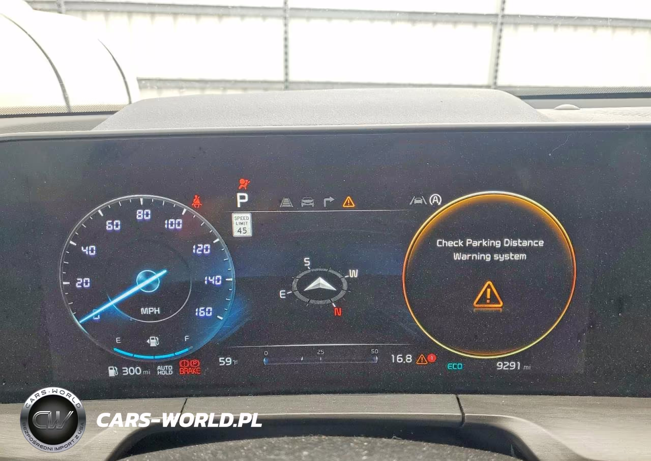 2025 Kia Telluride Sx-Prestige X-Line VIN:5XYP5DGC9SG641667 - 9