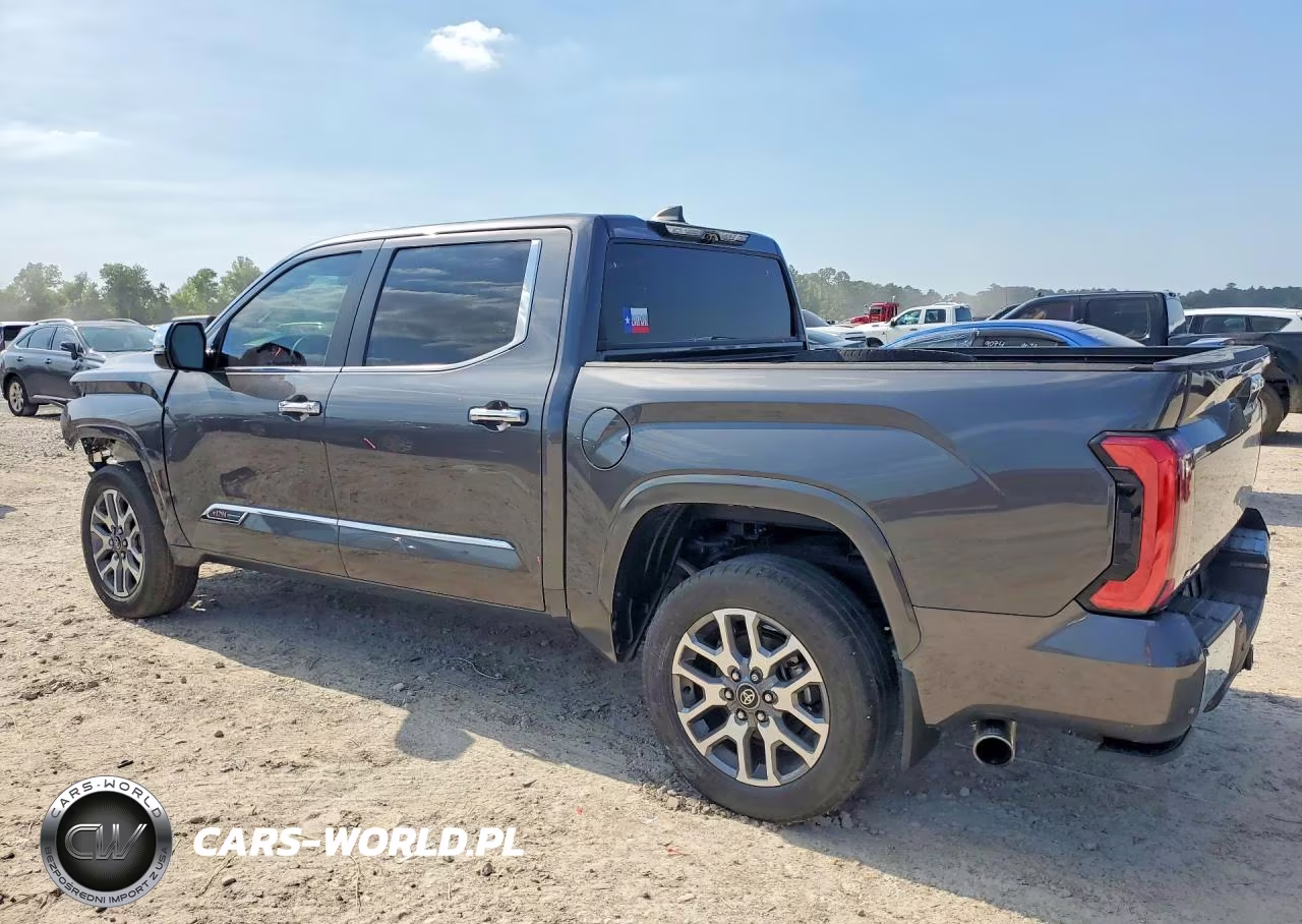 2025 Toyota Tundra 1794 Edition VIN:5TFMA5DB7SX284017 - 2