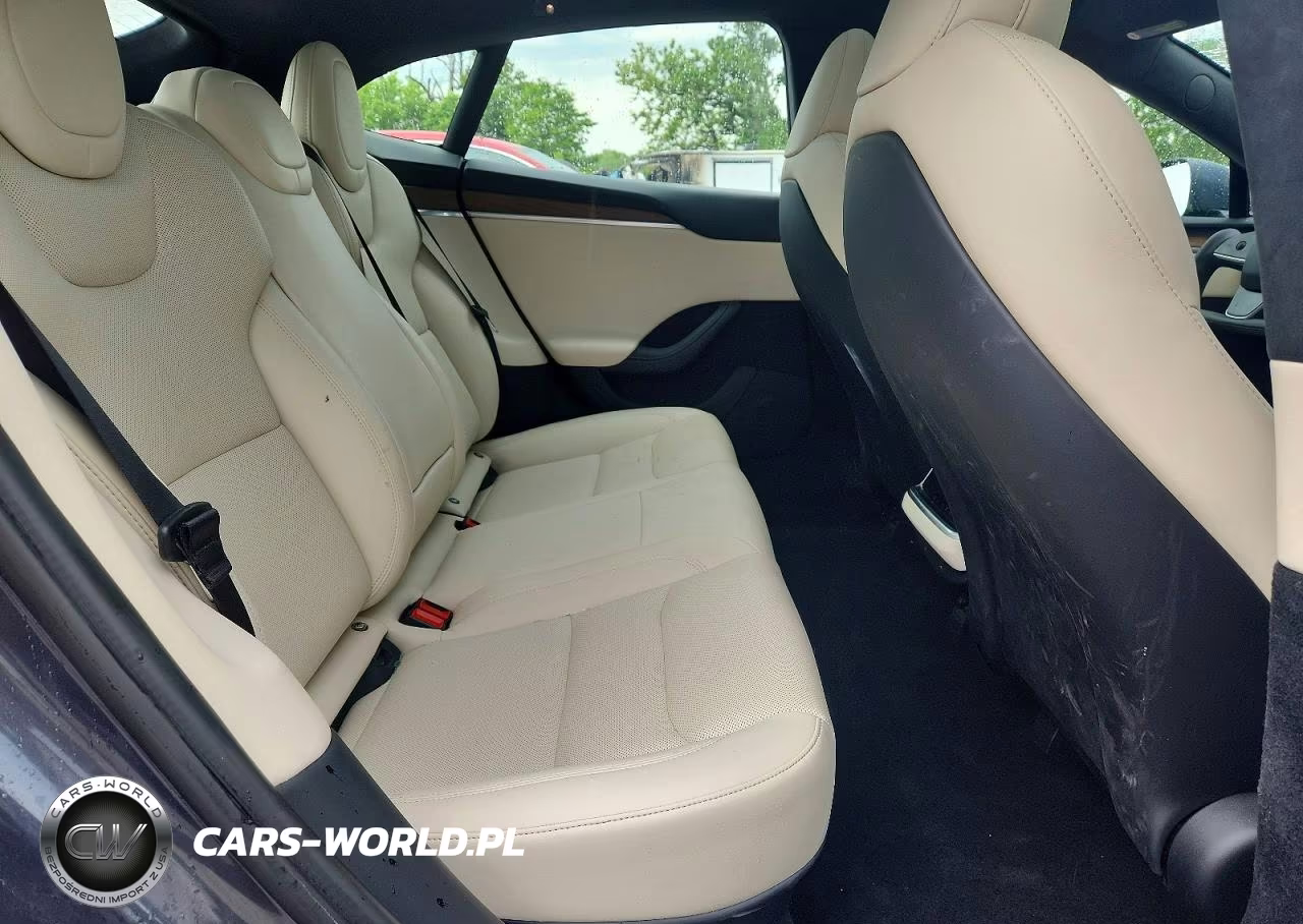 2023 Tesla Model S VIN:5YJSA1E50PF507279 - 10